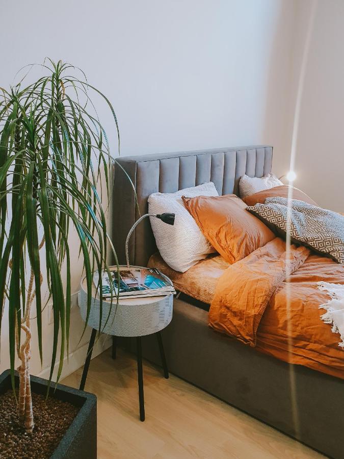 Priestranny Apartman V Centre コシツェ エクステリア 写真